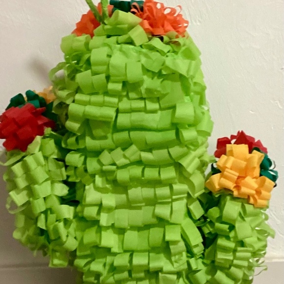 Cactus Pinata - Picture 3 of 4